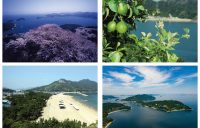 上島町の地域資源