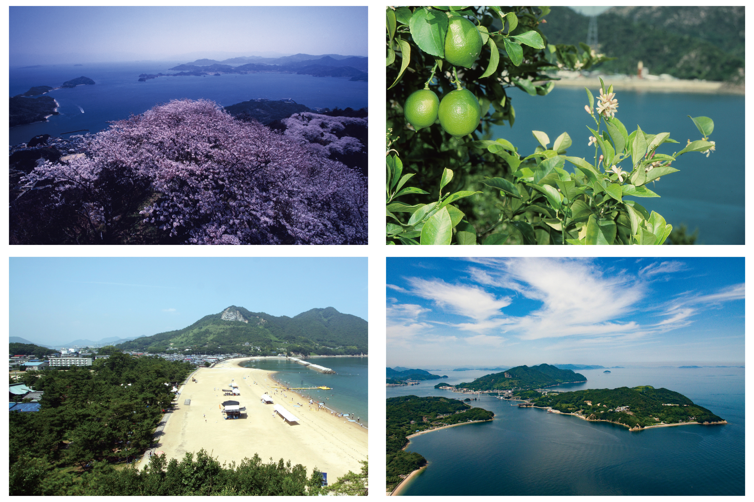 上島町の地域資源